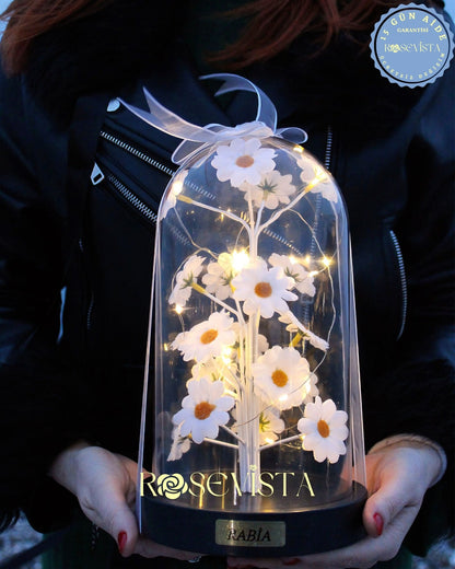 ™Orijinal ∞ Ledli Papatya Fanusu