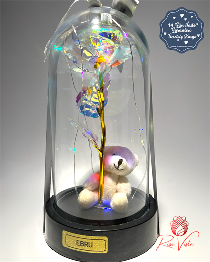 ™Orijinal∞Sonsuz Aşk Fanusu