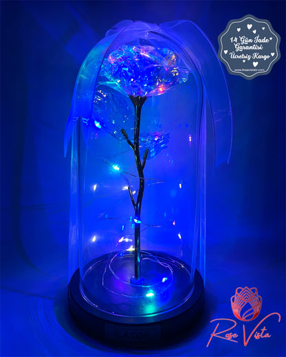 ™Orijinal∞Sonsuz Aşk Fanusu