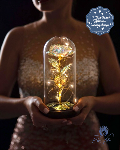 ™Orijinal∞Sonsuz Aşk Fanusu