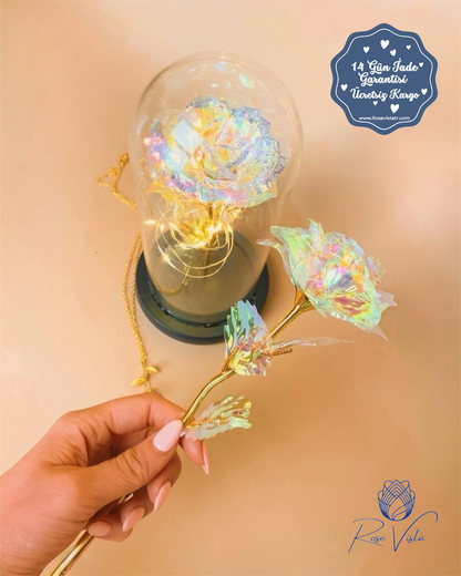 ™Orijinal∞Sonsuz Aşk Fanusu