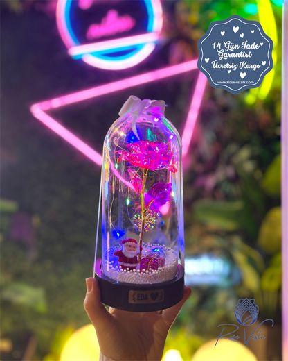 ™Orijinal∞Sonsuz Aşk Fanusu