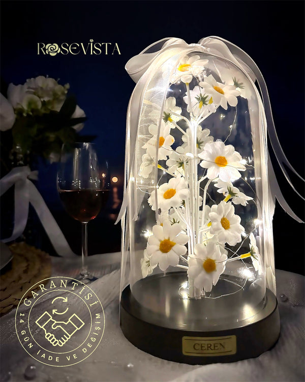 28 cm XL Ayıcıksız Papatya Fanusu