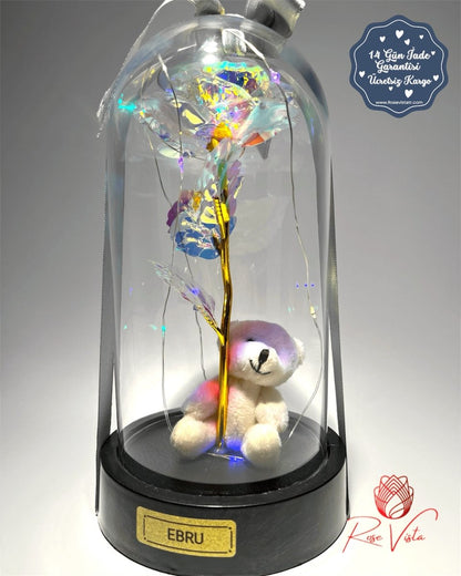 ™Orijinal∞Sonsuz Aşk Fanusu